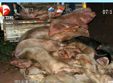 Trung Quốc bắt giữ 110 người bán thịt lợn